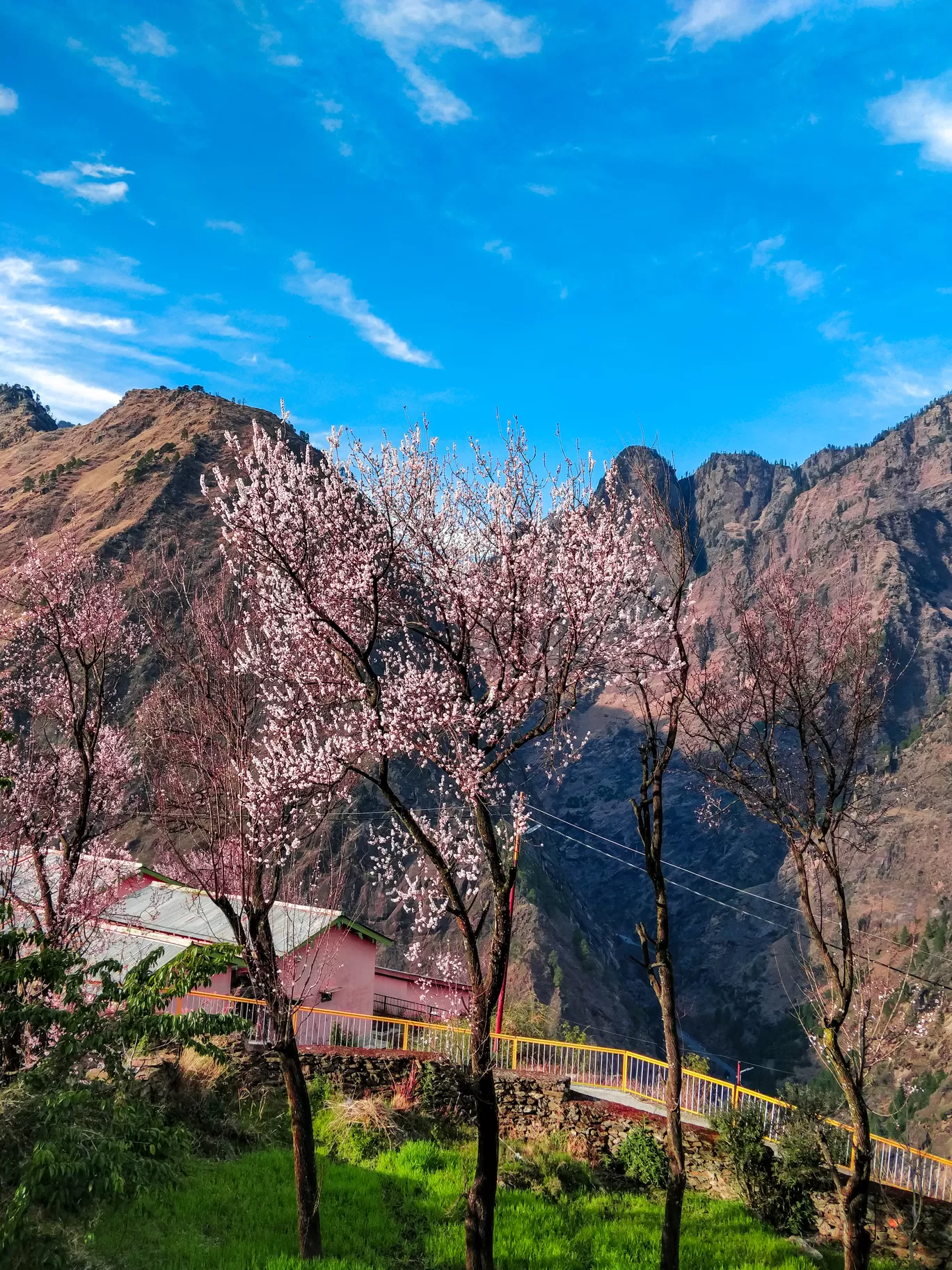 Photo of Joshimath By Vishal Khomane