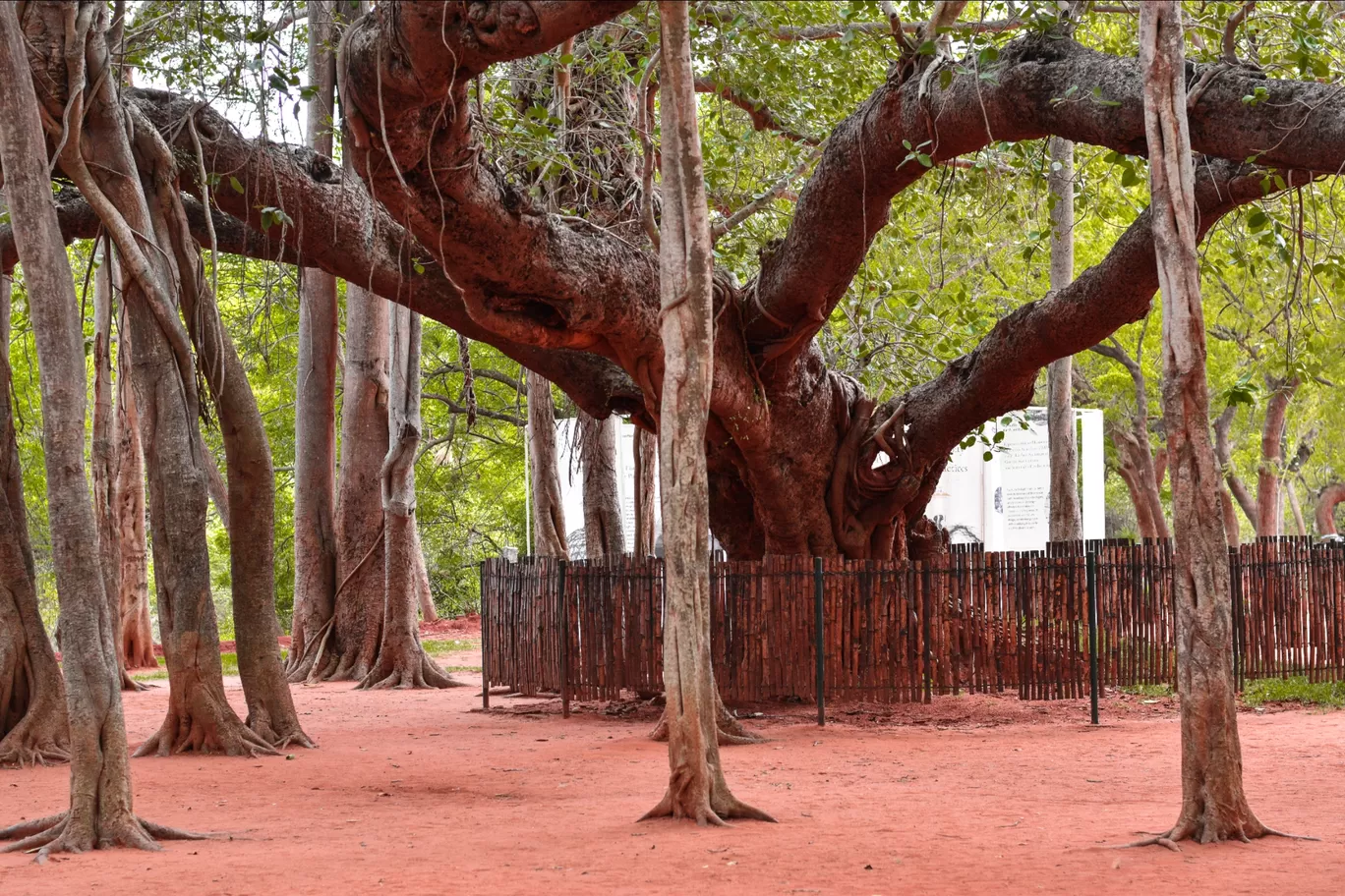 Photo of Pondicherry By Angshuman Sonowal