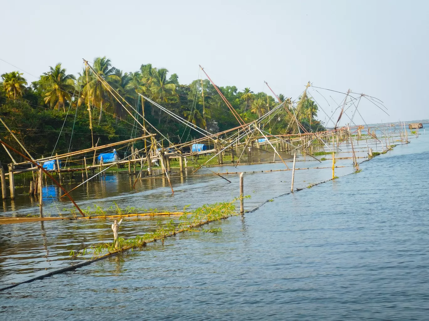 Photo of Kerala By bhavika jadeja