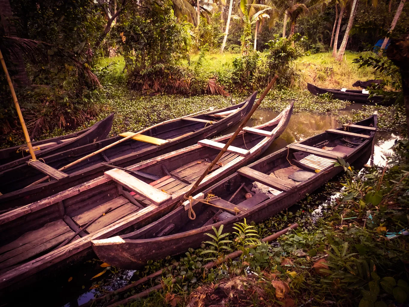 Photo of Kerala By bhavika jadeja