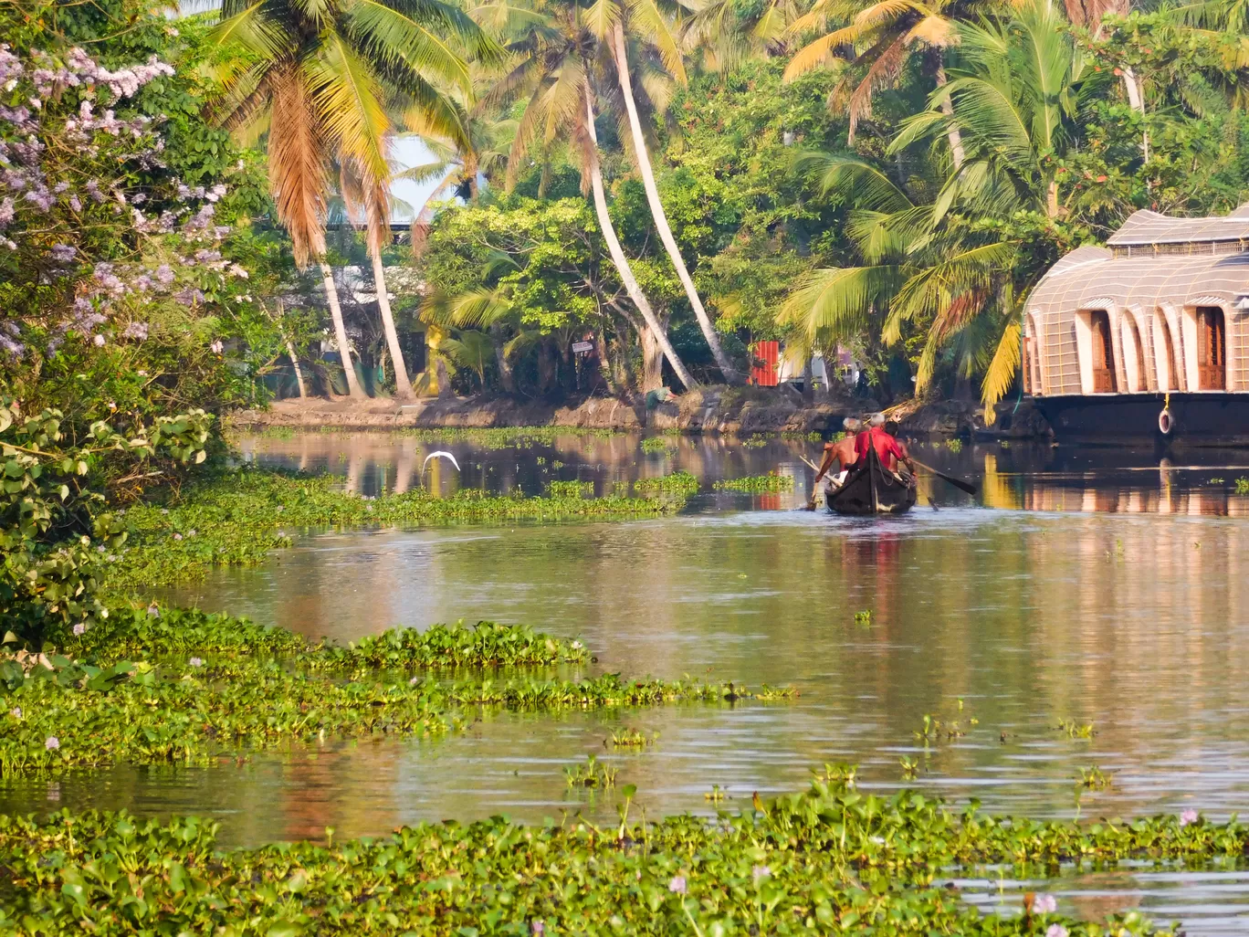 Photo of Kerala By bhavika jadeja
