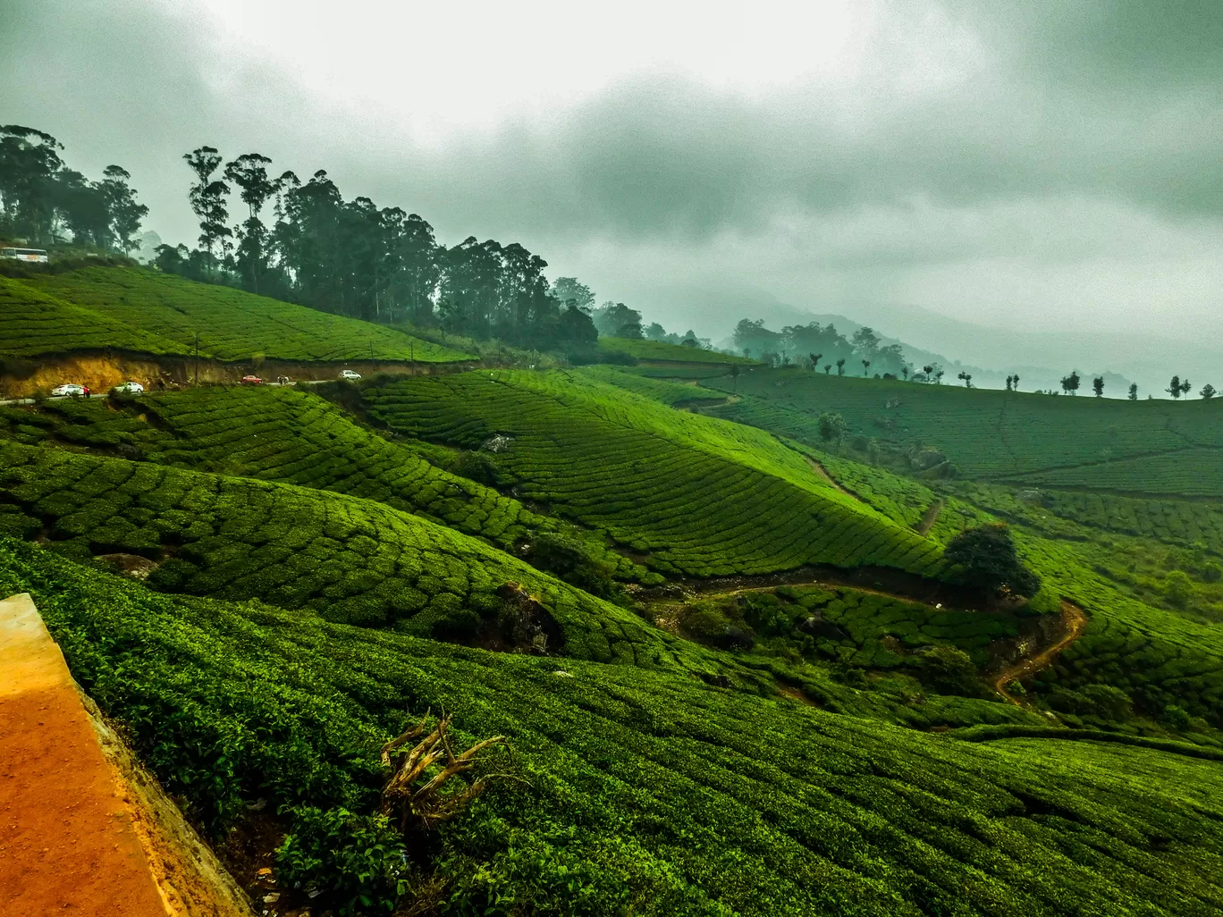 Photo of Kerala By bhavika jadeja