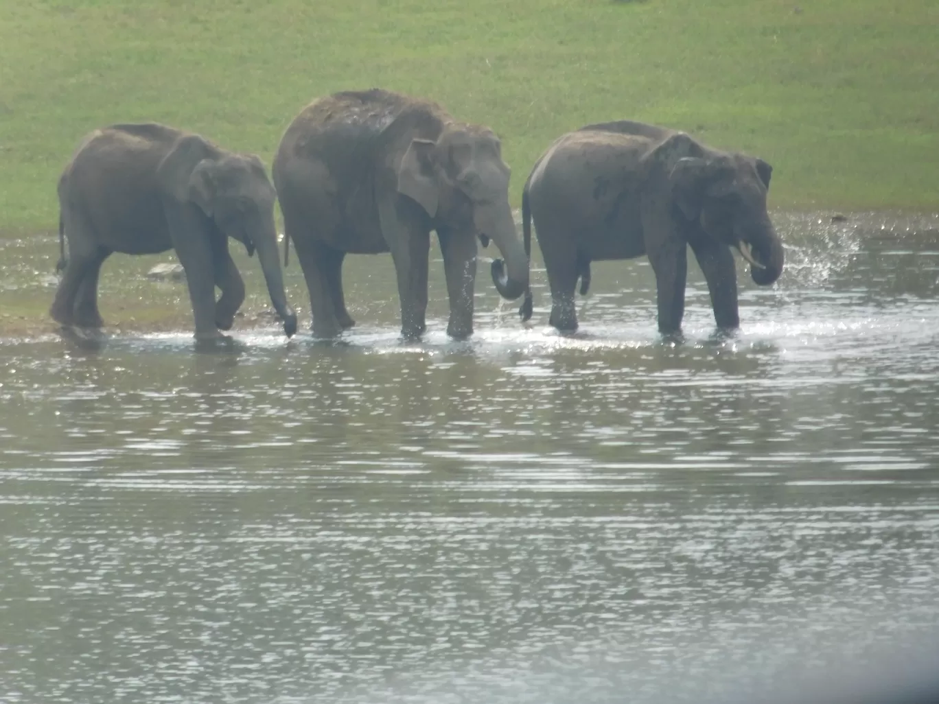 Photo of Kerala By bhavika jadeja