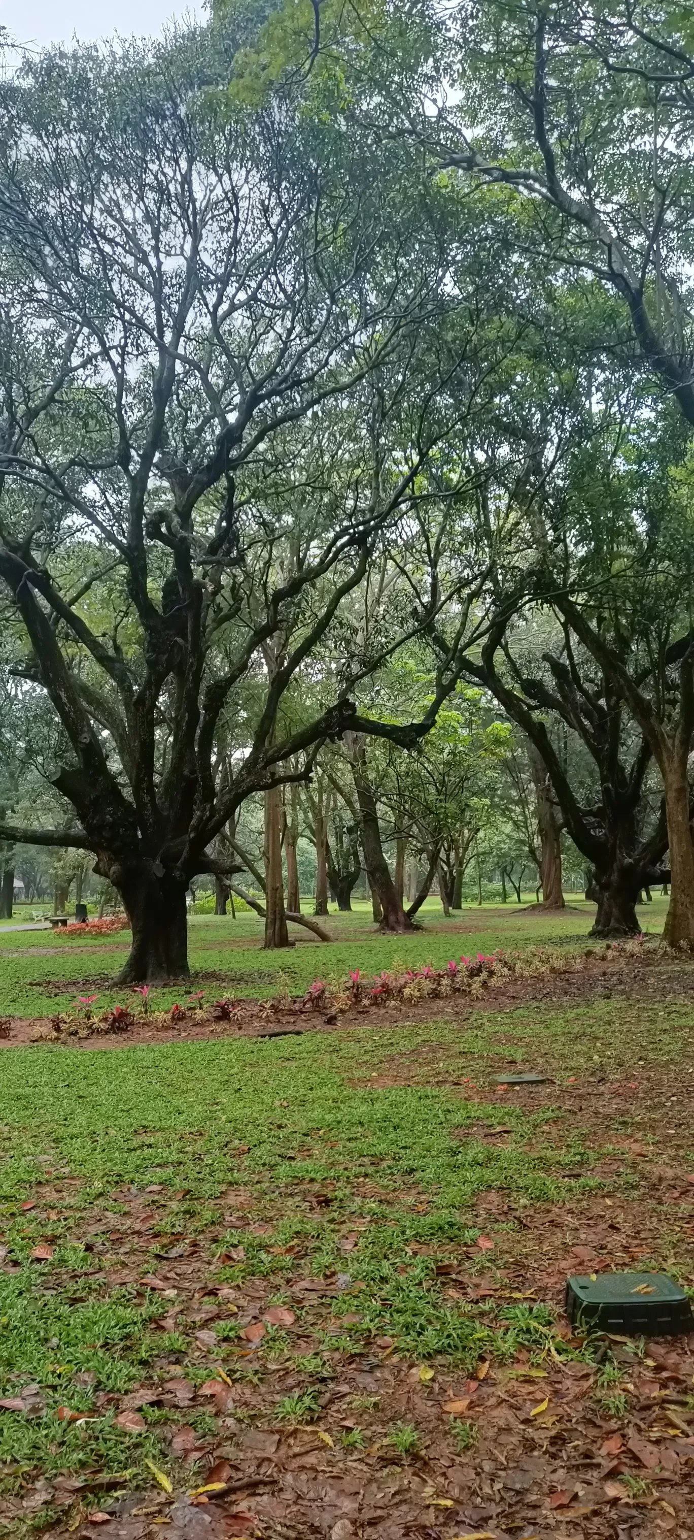 Photo of Bengaluru By bhavika jadeja