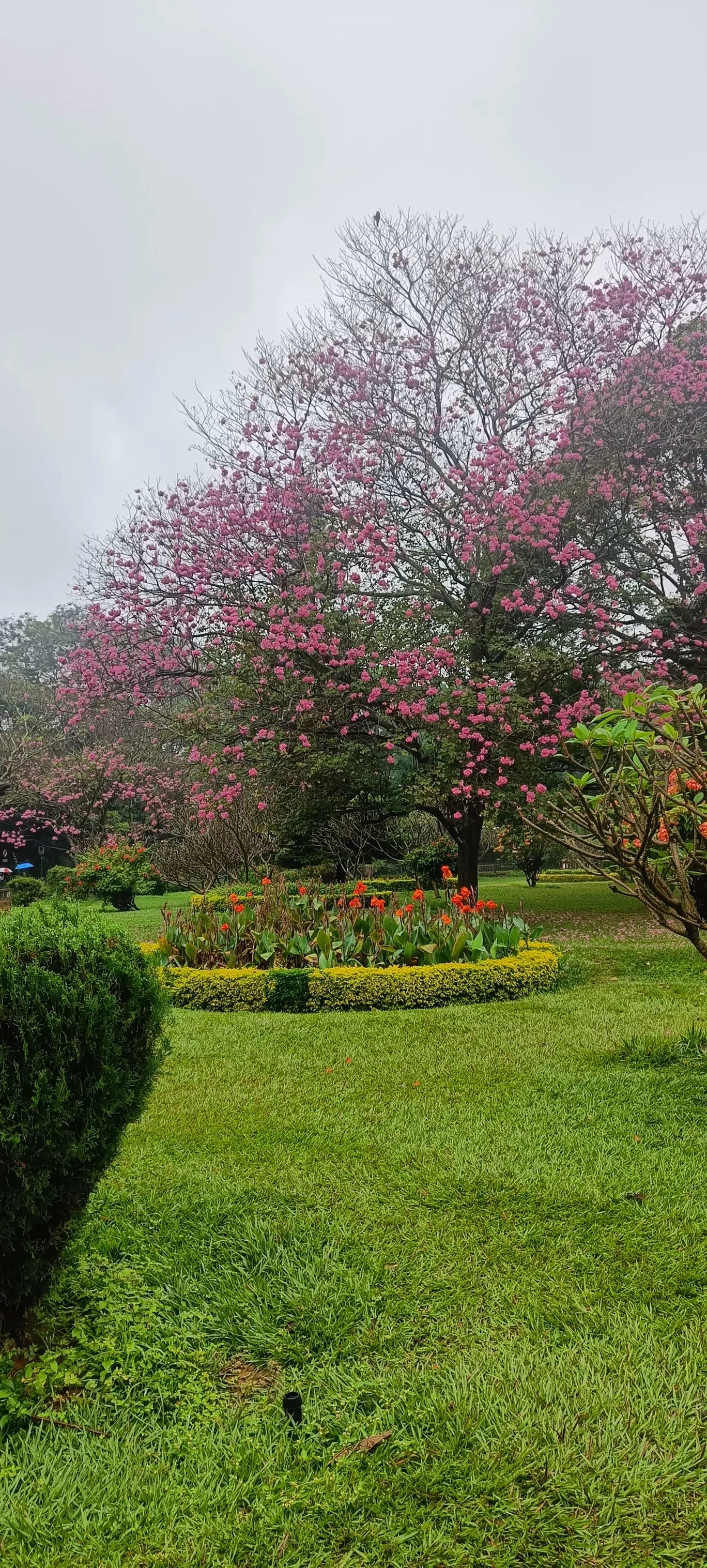 Photo of Bengaluru By bhavika jadeja