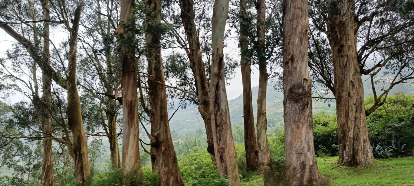 Photo of Ooty hills station By bhavika jadeja