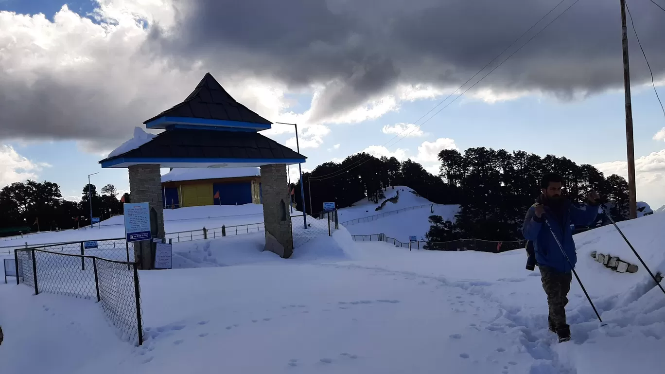 Photo of Narkand By Pawan Kumar