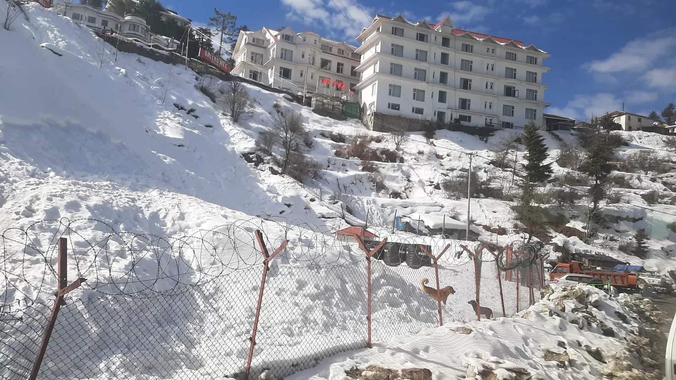 Photo of Narkand By Pawan Kumar