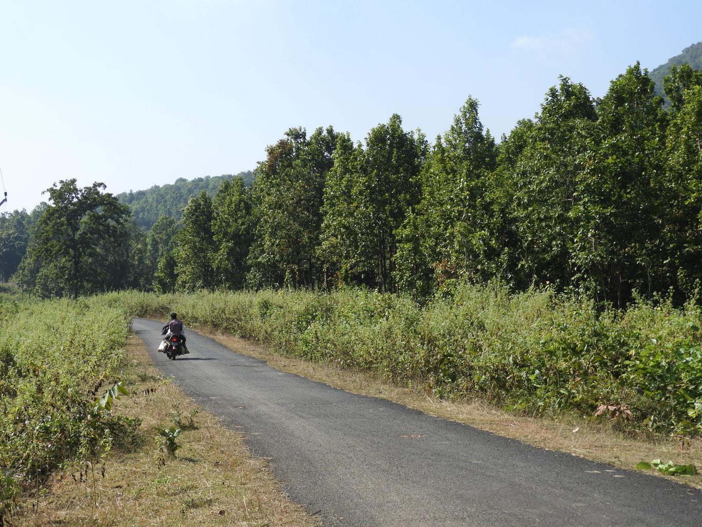 Photo of Midnapore By Debasree Nandi