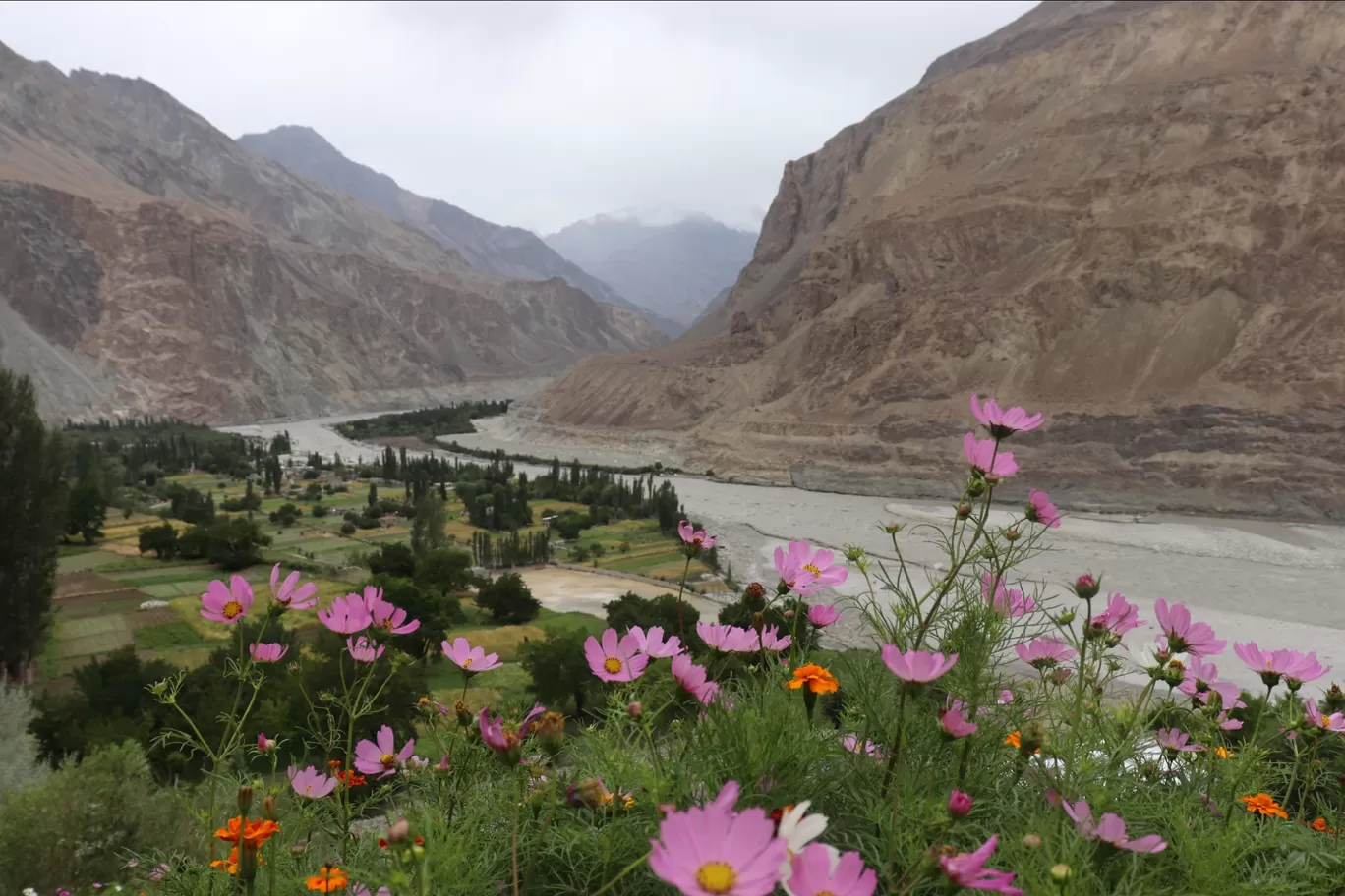 Photo of Ladakh By Pushpinder Thakur