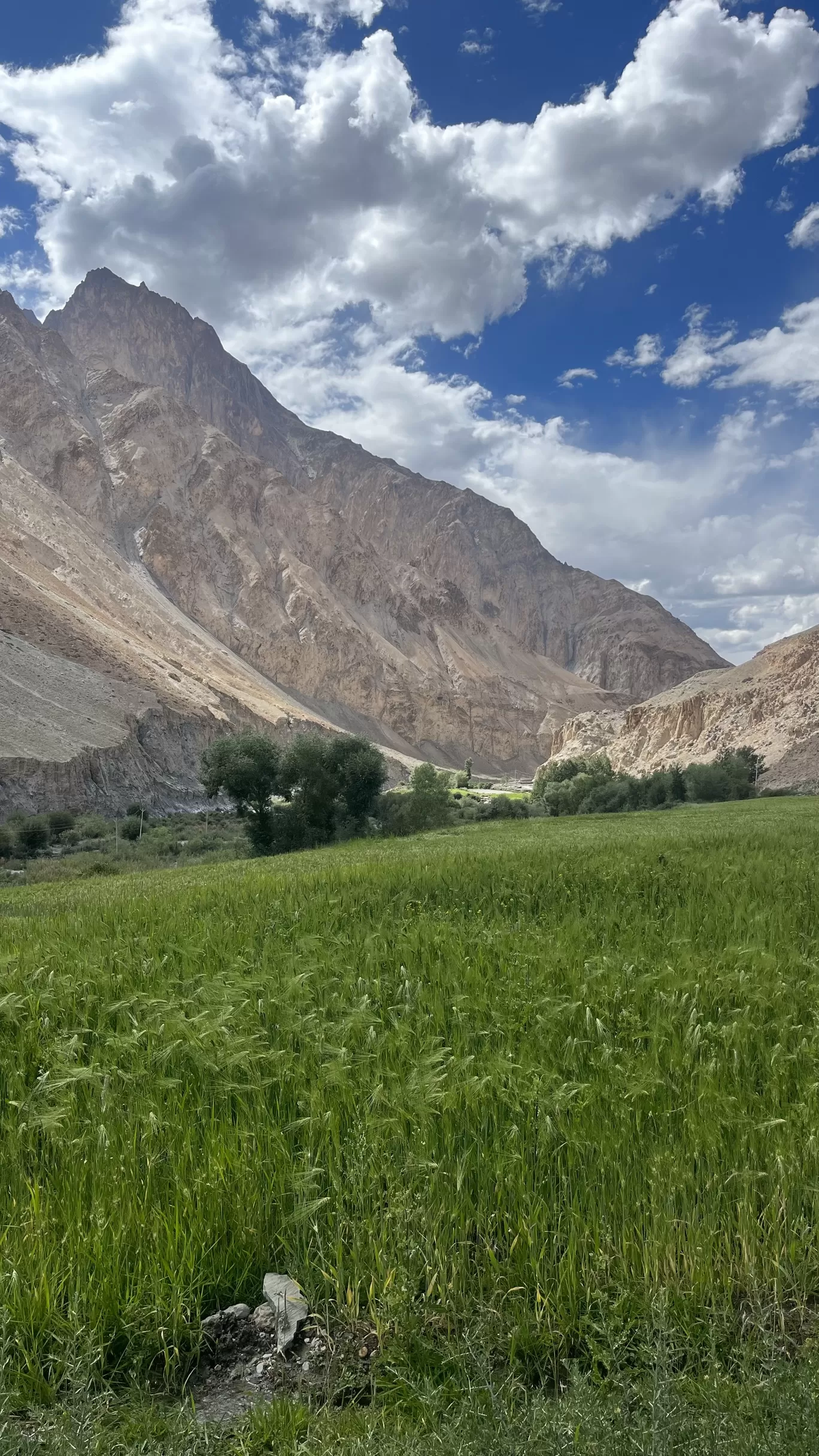 Photo of Markha Village By Pushpinder Thakur