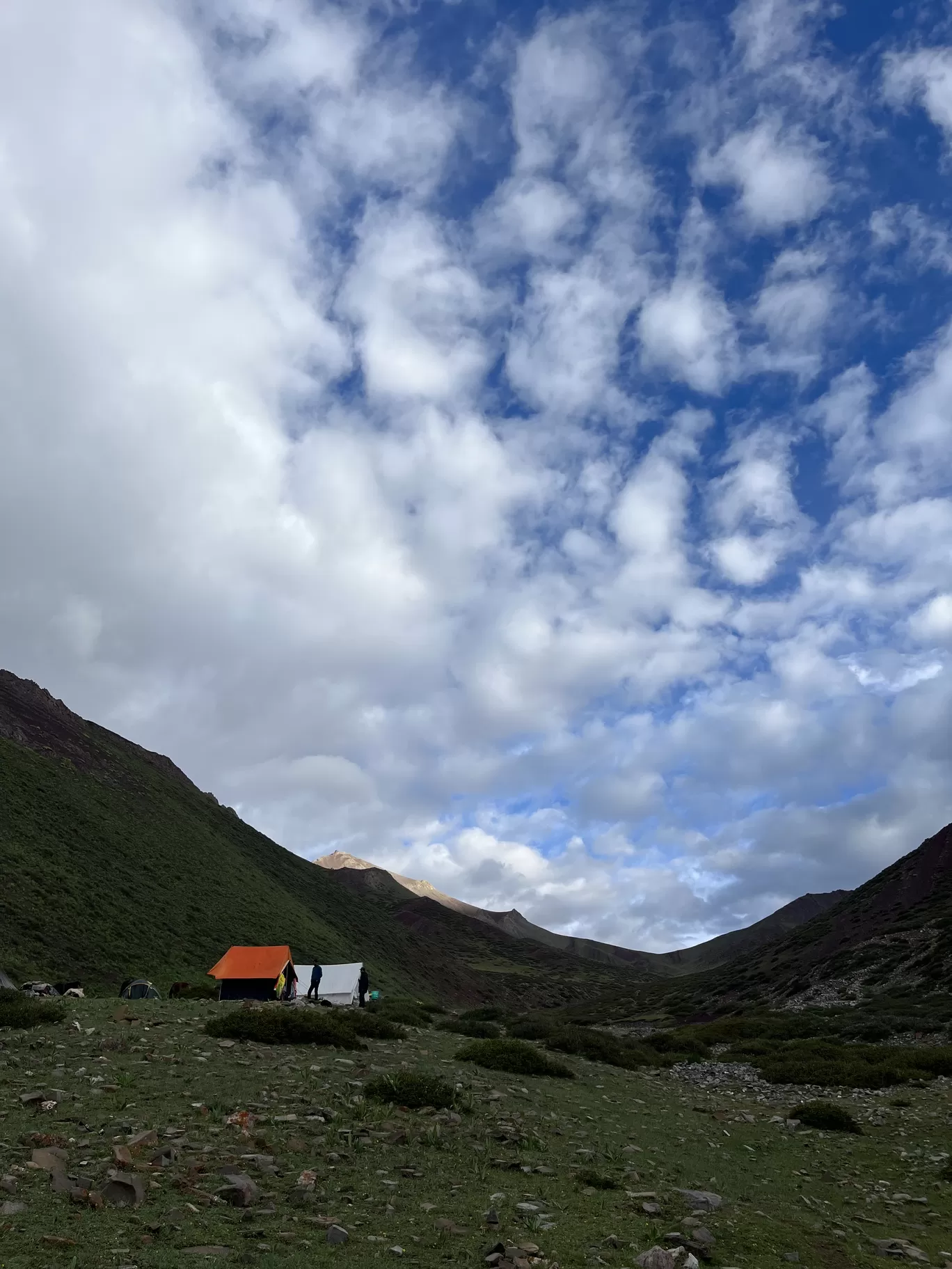 Photo of Stok By Pushpinder Thakur