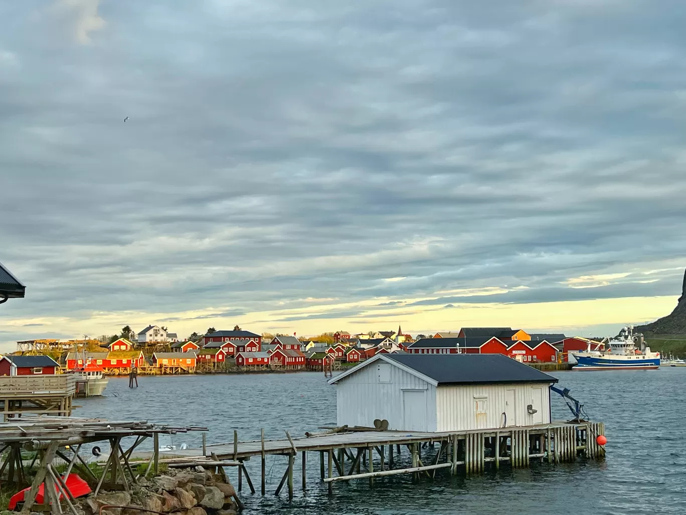 Photo of Lofoten By Jiyaa Sarkar