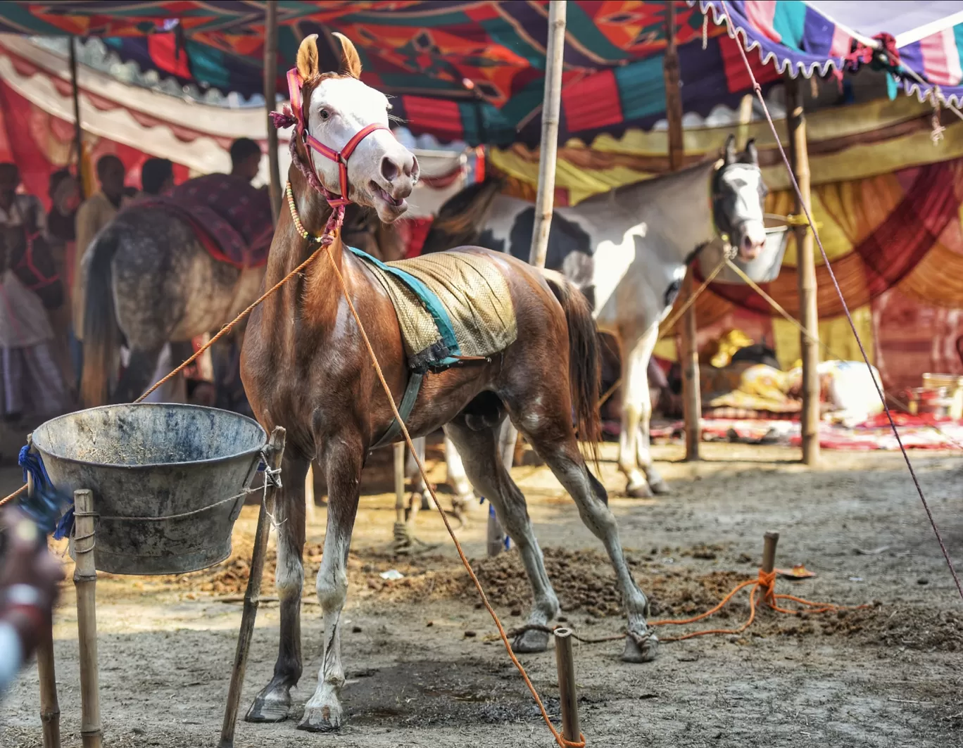 Photo of Sonepur By Saurav Anuraj