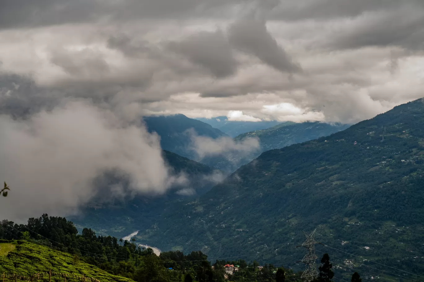 Photo of Temi Tea Garden By Saurav Anuraj
