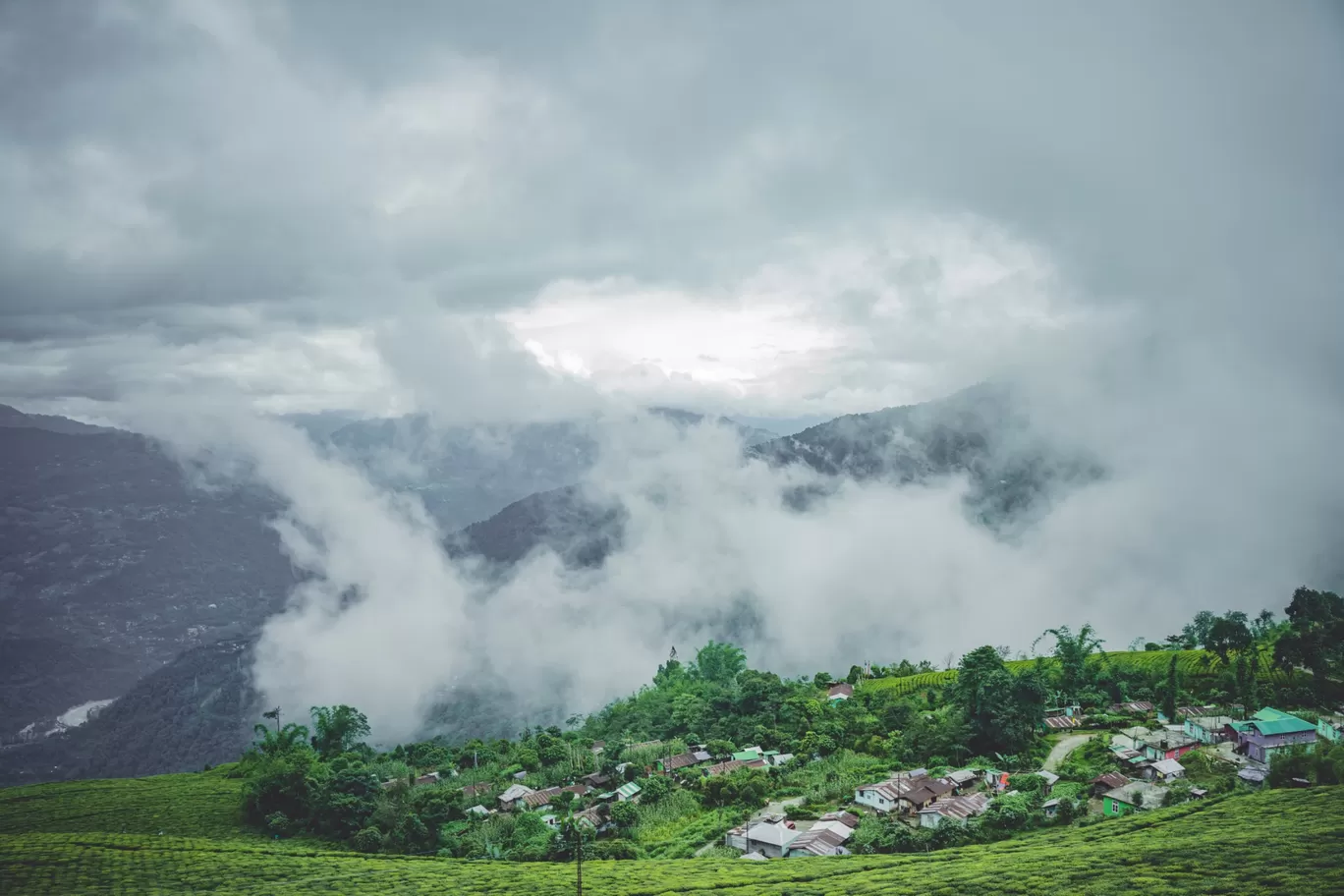 Photo of Temi Tea Garden By Saurav Anuraj