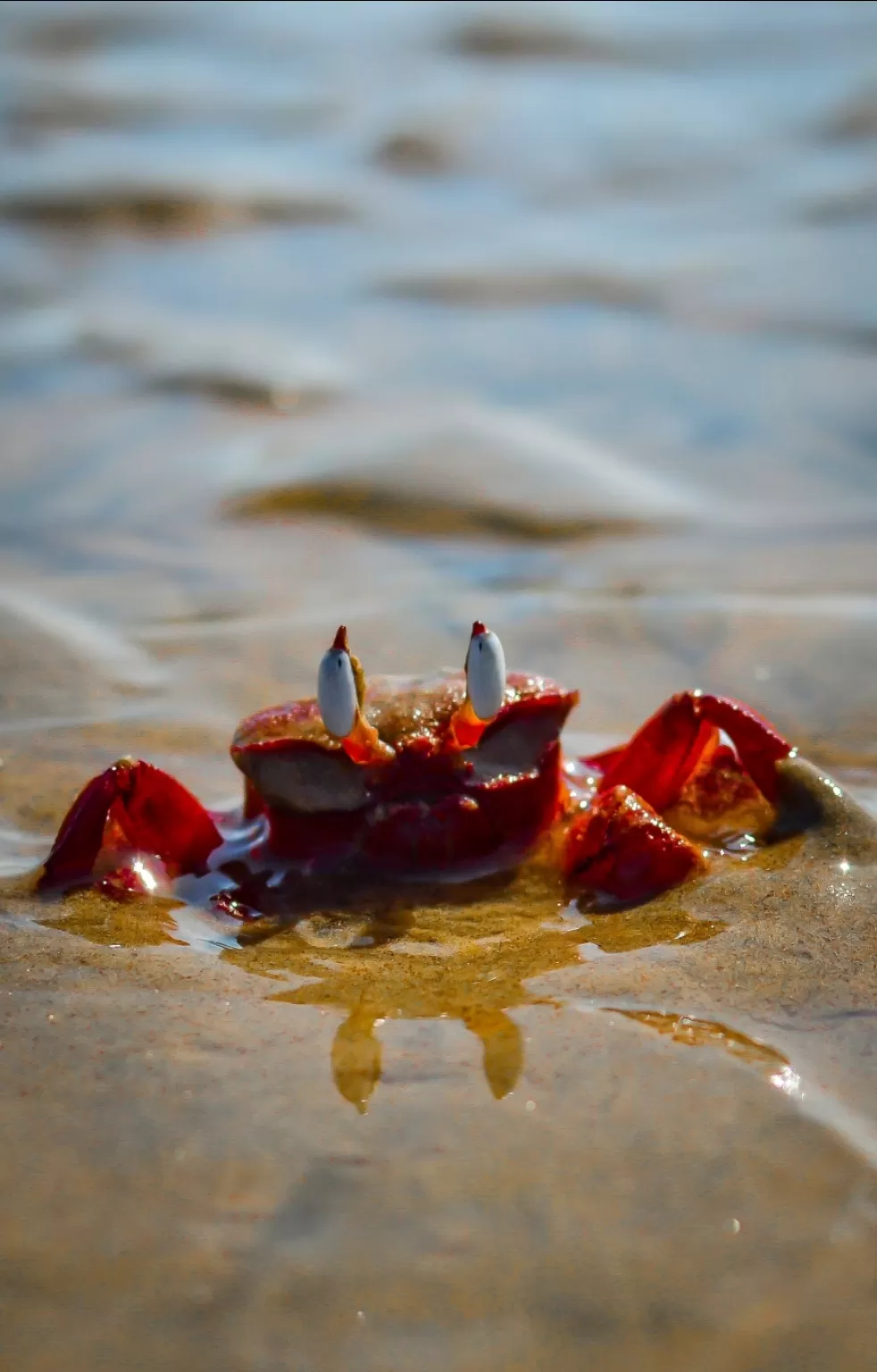 Photo of Digha By Pramit Chanda