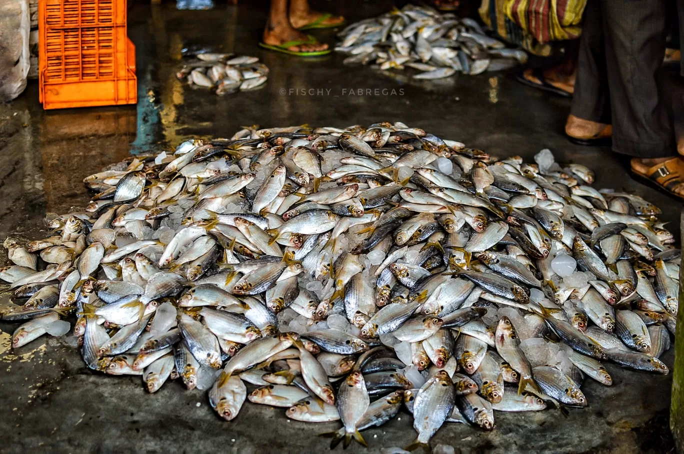 Photo of Digha By Pramit Chanda