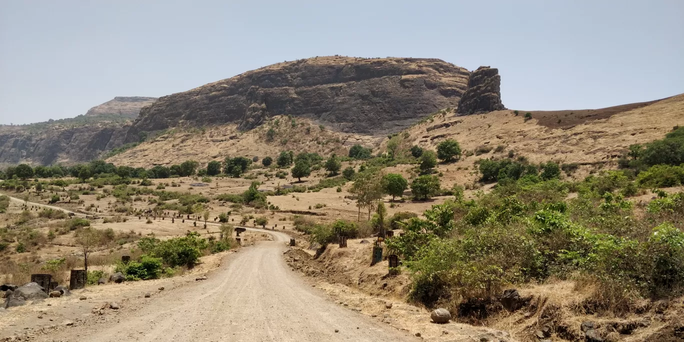 Photo of Anjaneri Mountain By Sarala Reddy