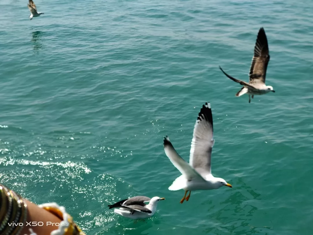 Photo of Dwarka By Sarala Reddy