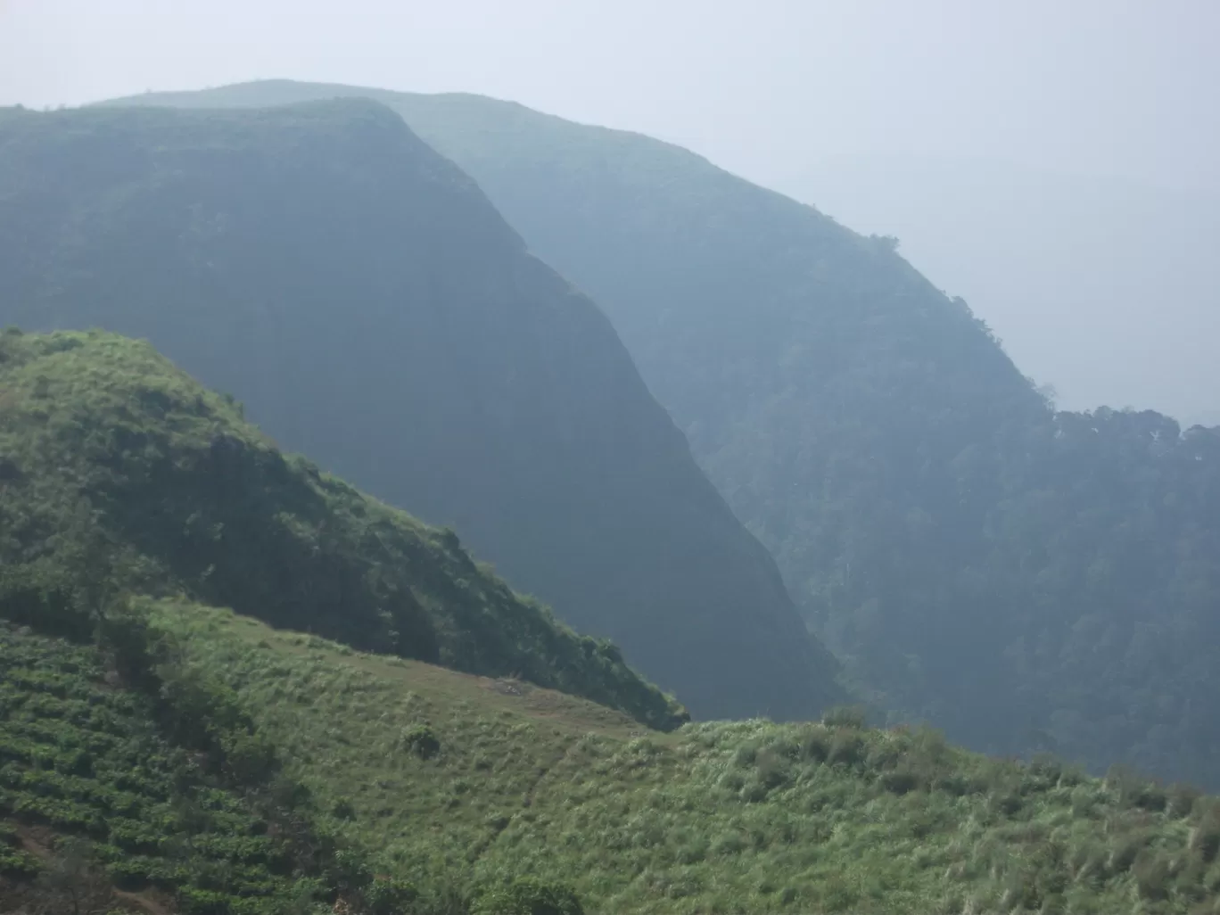 Photo of Idukki Dam By Teena M. Abraham