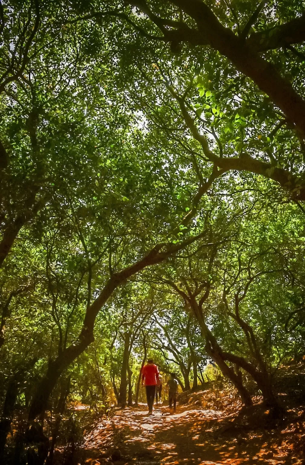 Photo of kalsubai Treking And Camping By Swapnil Suvarna