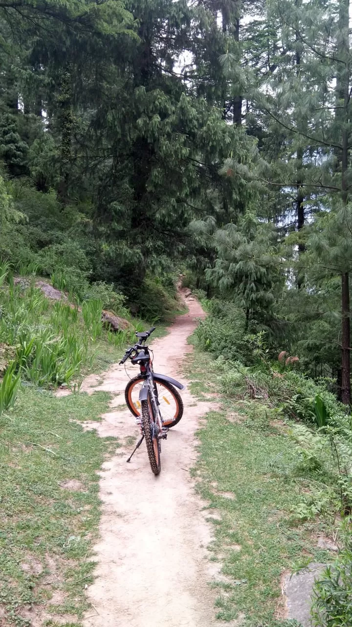 Photo of Manali By Lets Playy
