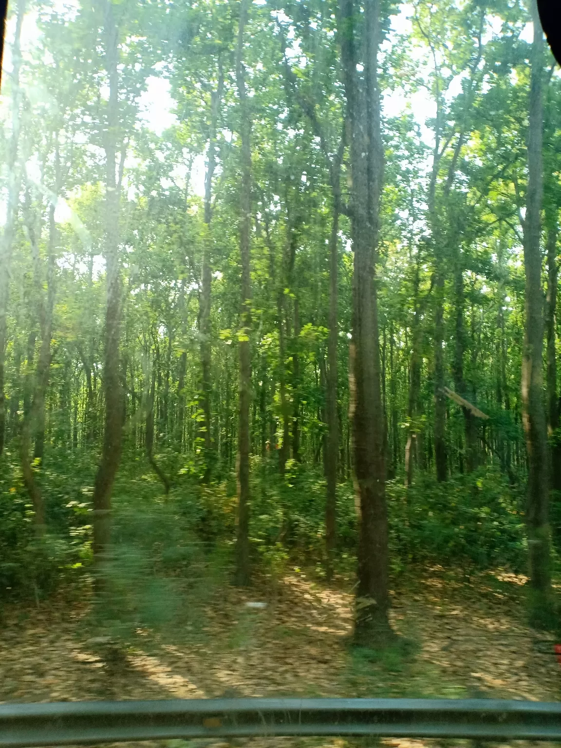 Photo of Dehradun By Akanksha Mohan