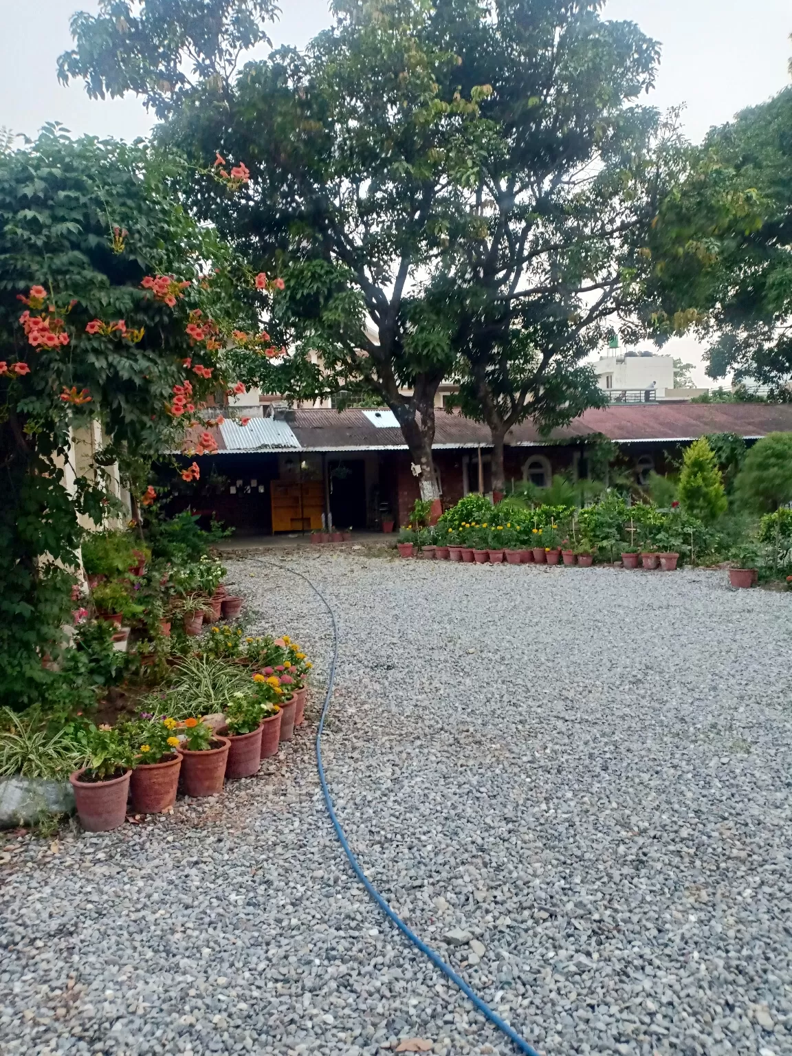 Photo of Dehradun By Akanksha Mohan