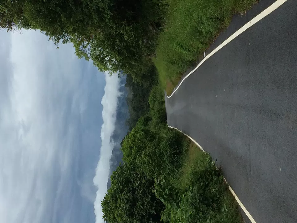 Photo of Chalakudy - Anamala Road By Jaffer Liyakath