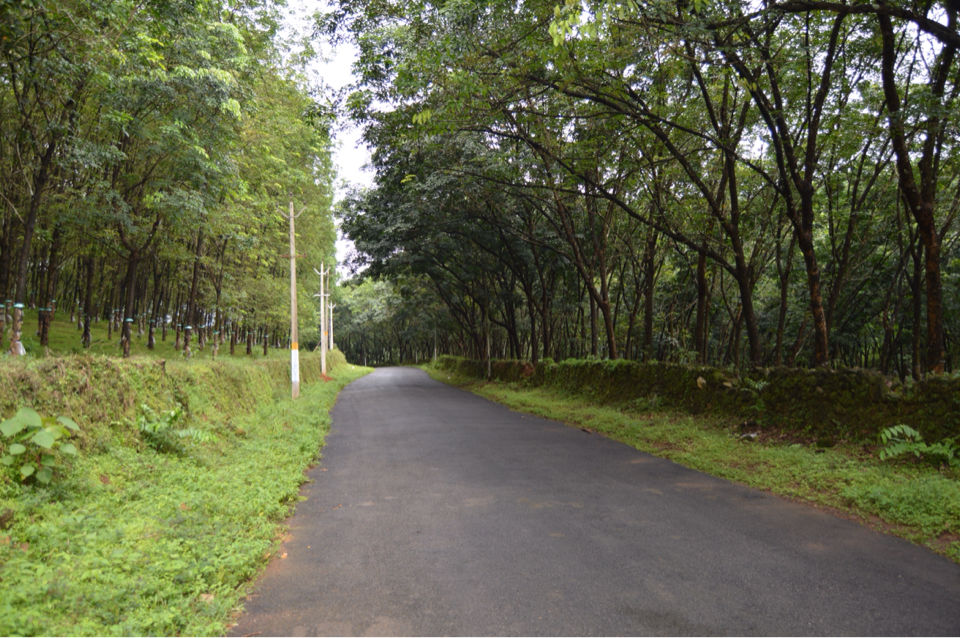 Photo of Awesome ride at Athirapally, Kerala to Valparai, Tamil Nadu By Jaffer Liyakath