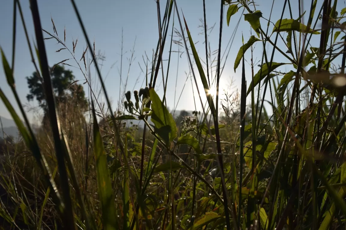 Photo of Anjanvel Agrotourism By Kumudim