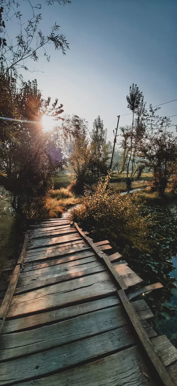 Photo of Dal Lake By Shabeeb Hussain