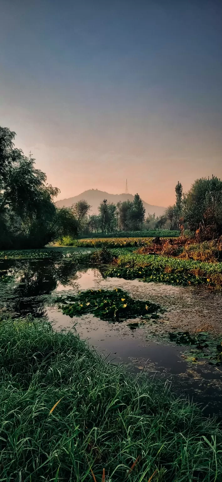 Photo of Dal Lake By Shabeeb Hussain