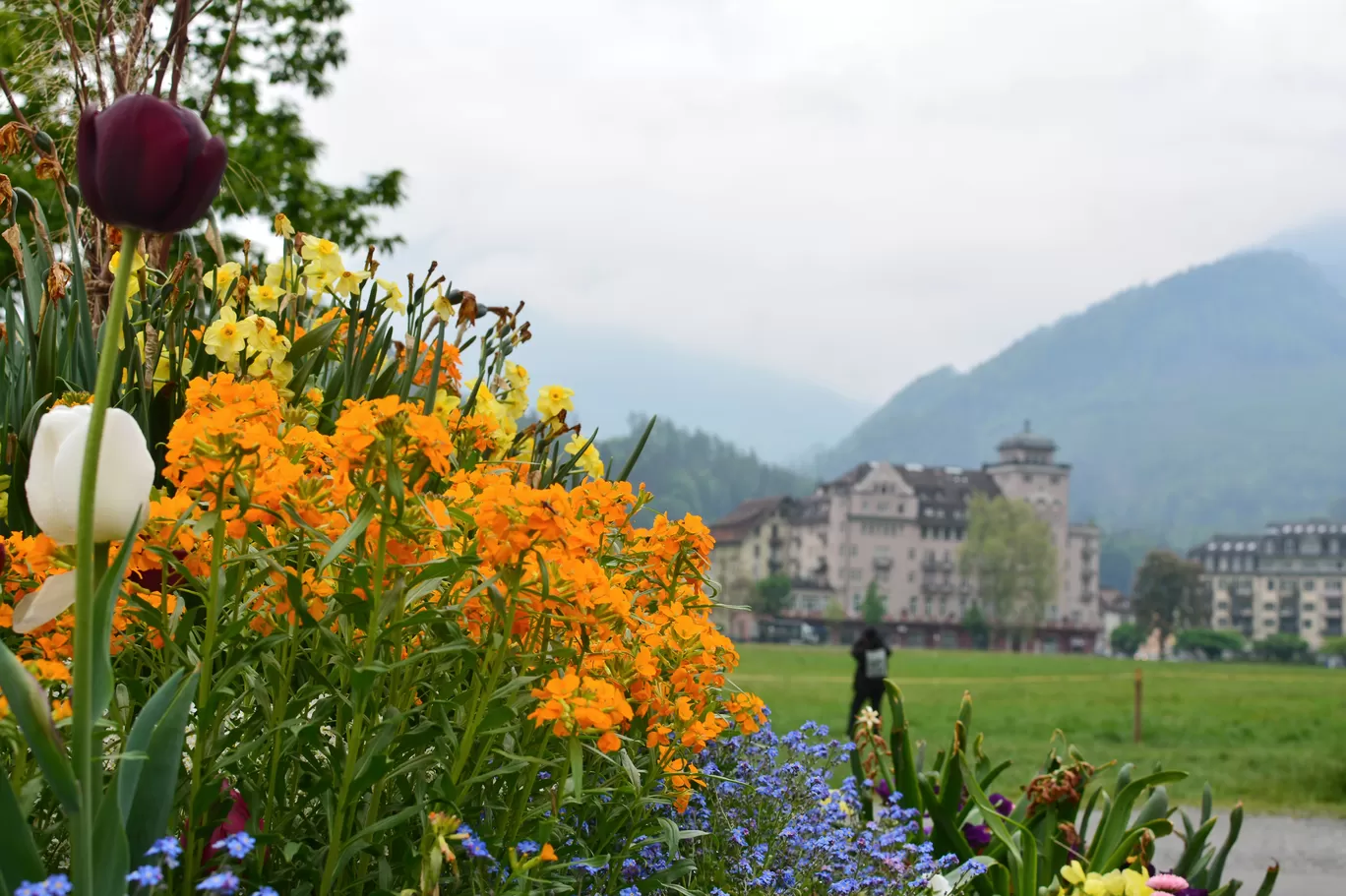 Photo of Lucerne By Amit Pal