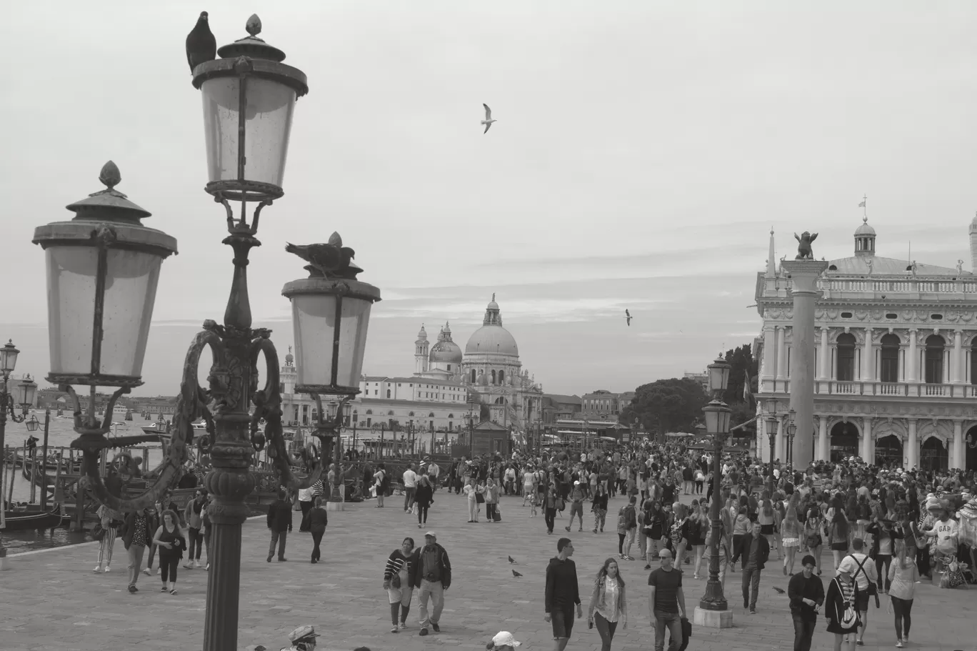 Photo of Italy By Amit Pal