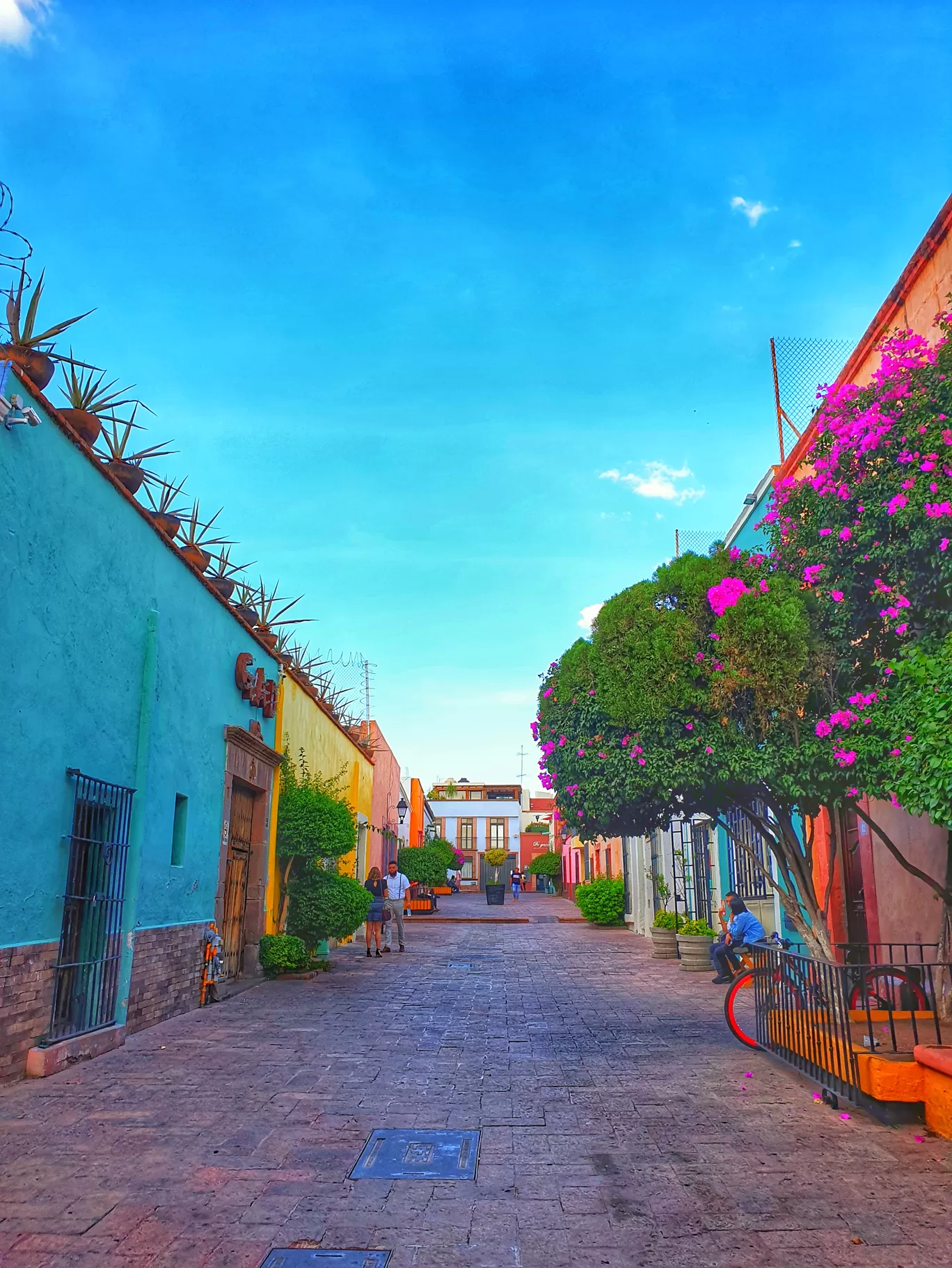 Photo of Mexique By Karishma Shaikh