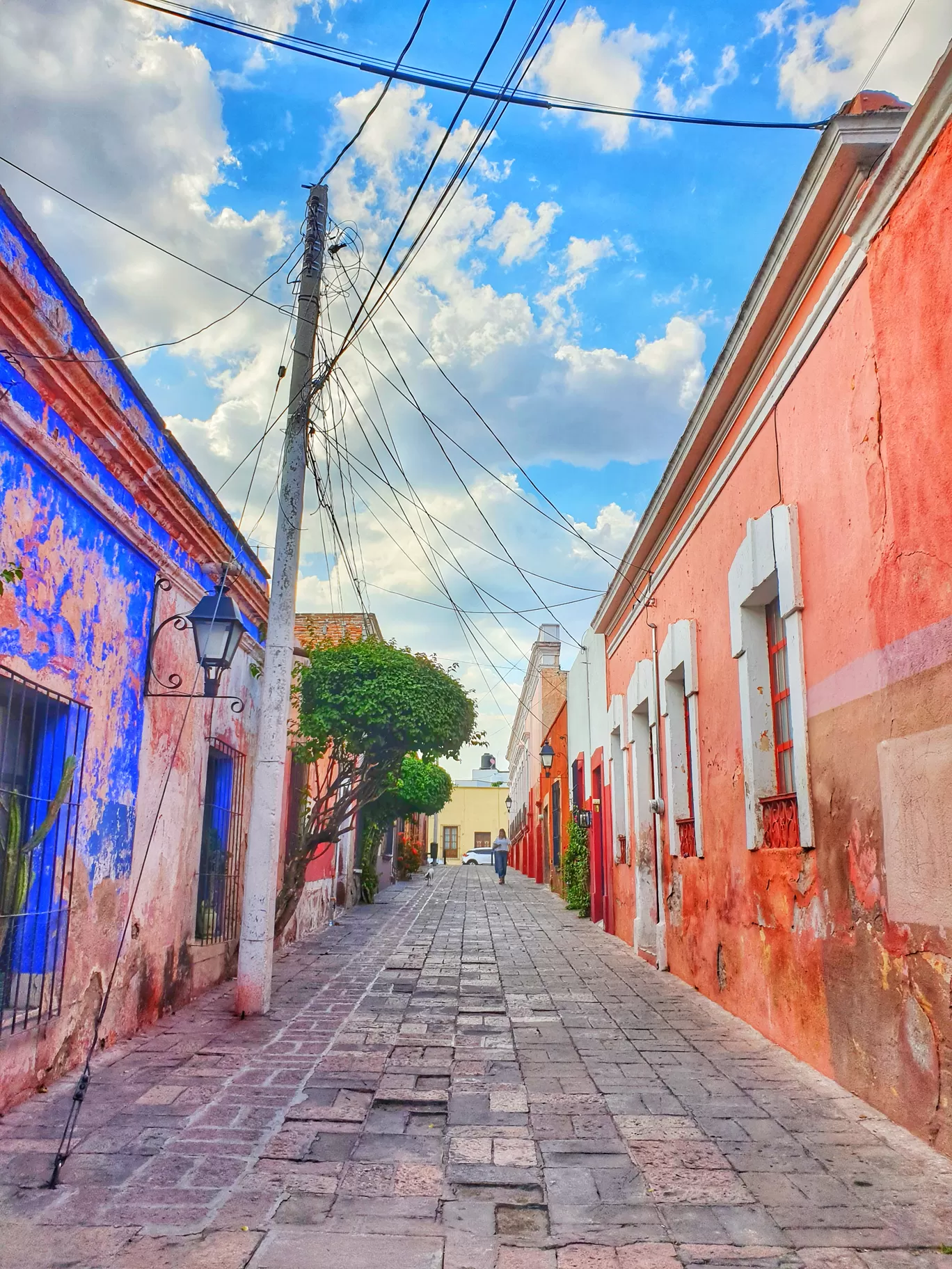 Photo of Mexique By Karishma Shaikh