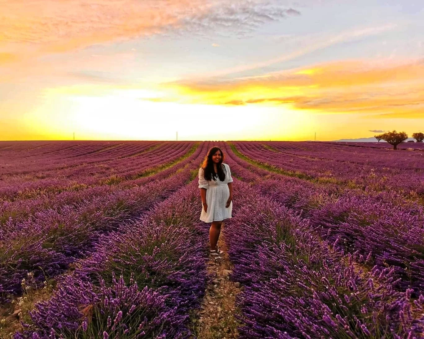 Photo of Valensole By Karishma Shaikh