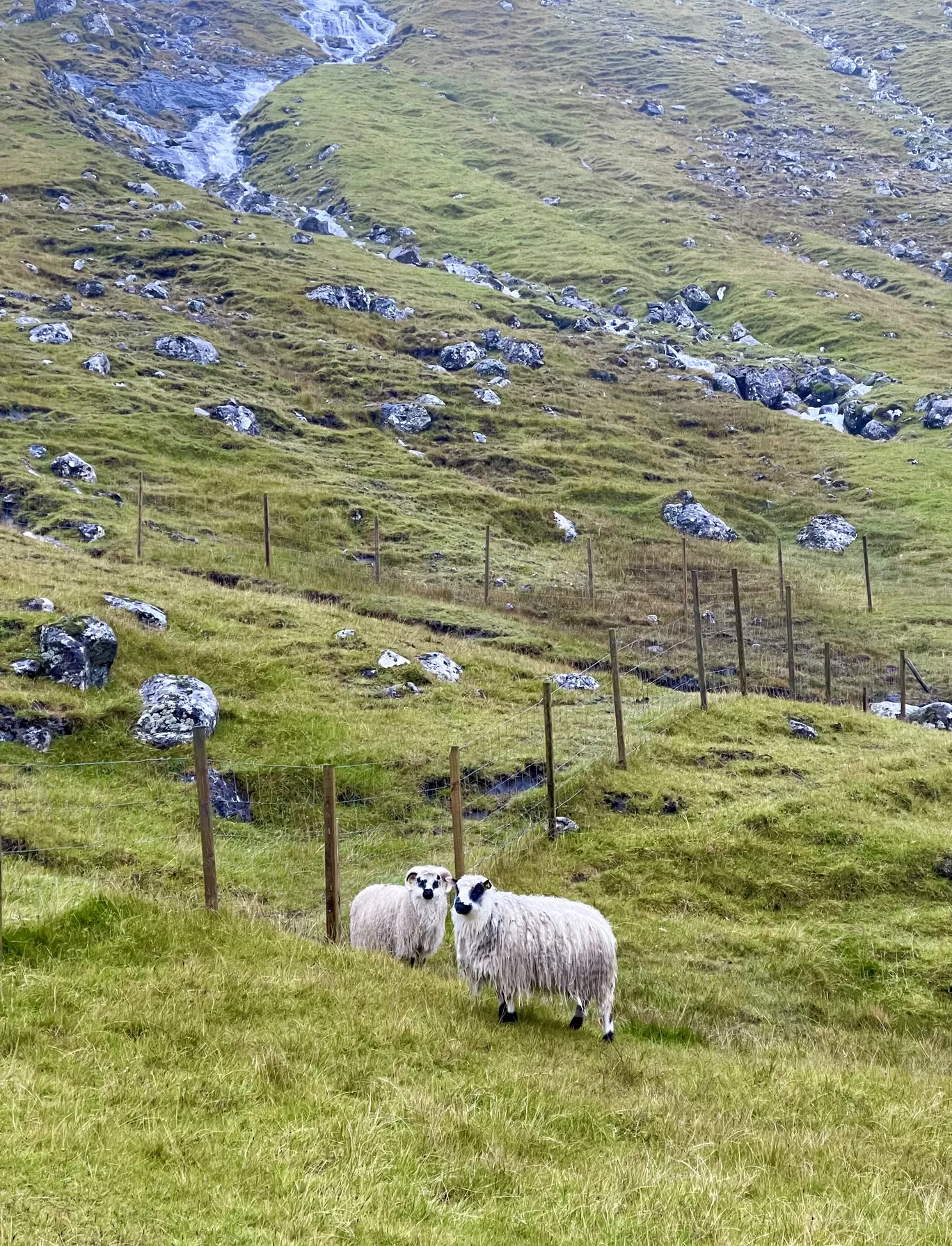 Photo of Faroe Islands By Karishma Shaikh
