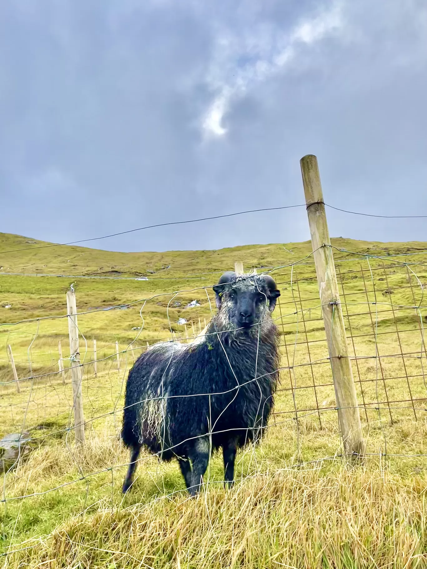 Photo of Faroe Islands By Karishma Shaikh