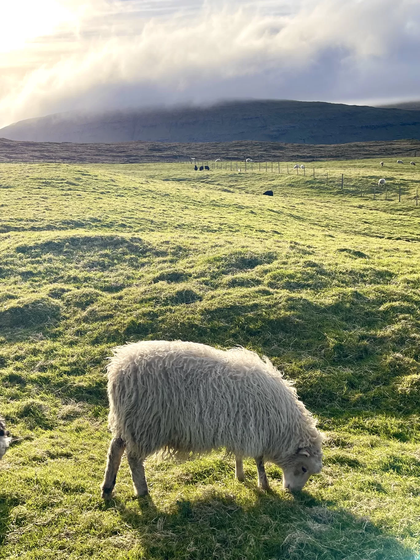 Photo of Faroe Islands By Karishma Shaikh