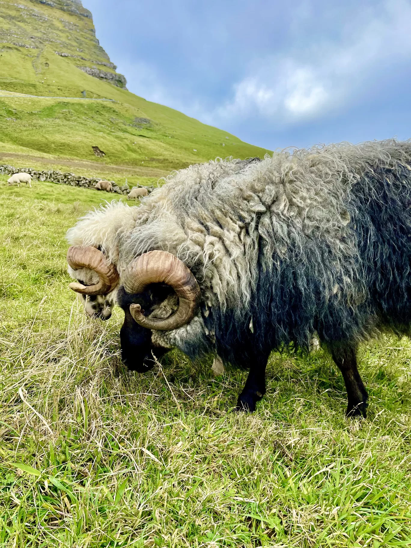 Photo of Faroe Islands By Karishma Shaikh