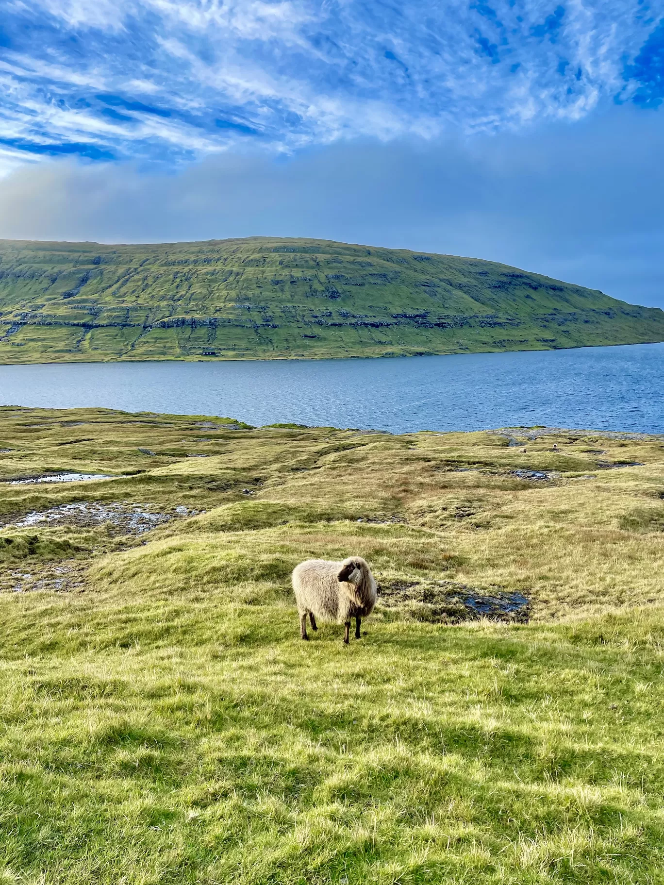 Photo of Faroe Islands By Karishma Shaikh