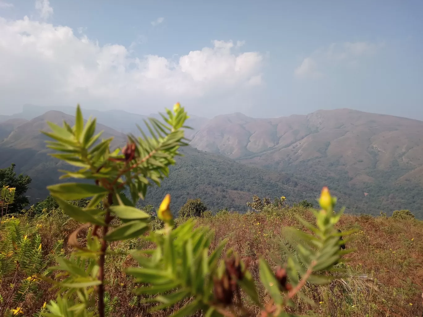 Photo of Kodagu By Sidharth Jain