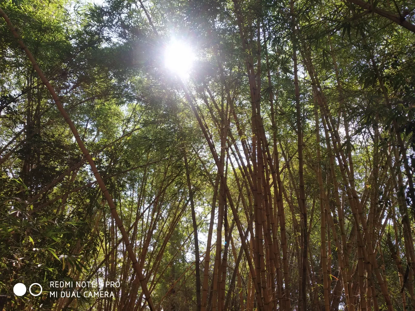 Photo of Kodagu By Sidharth Jain