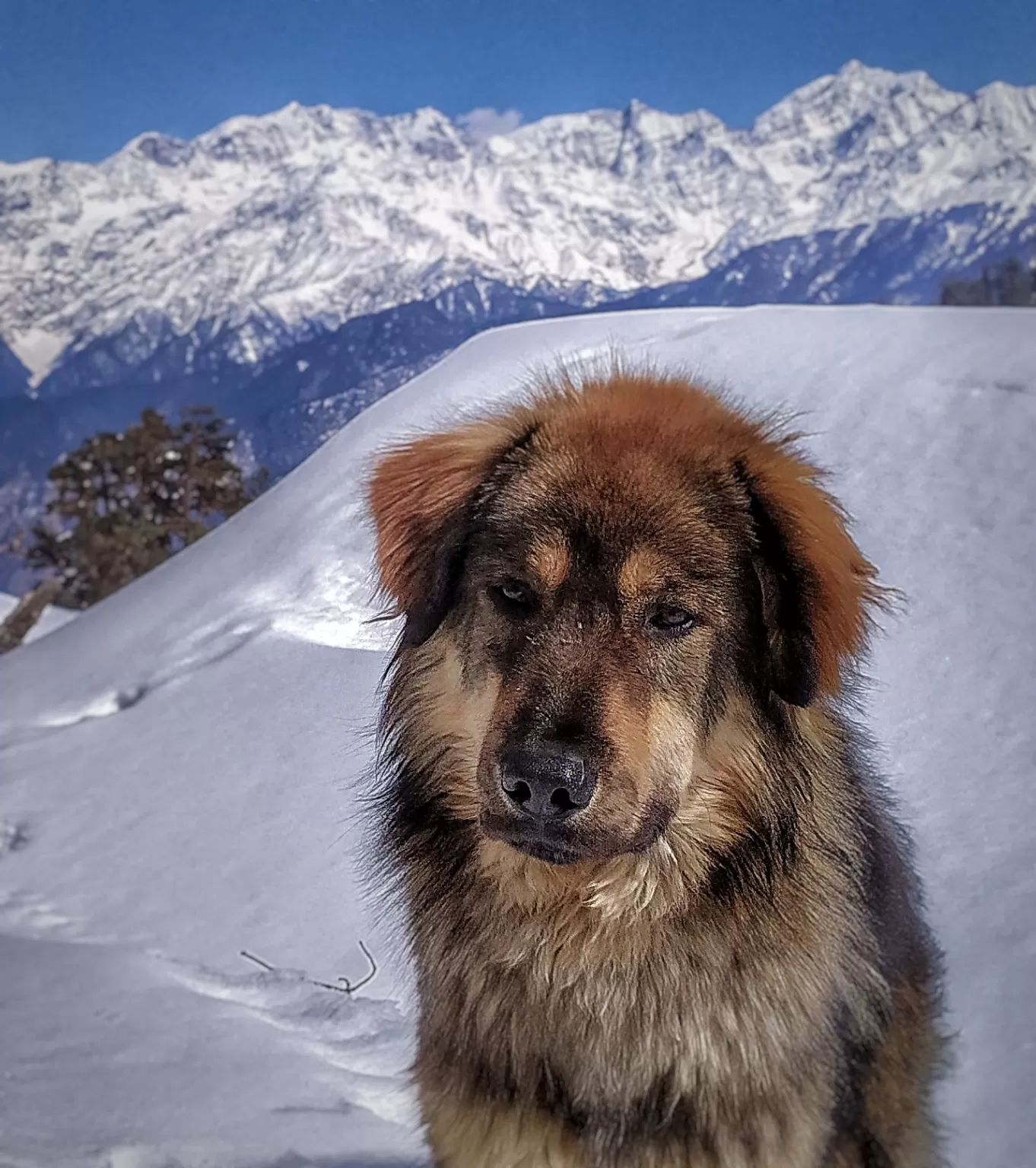 Photo of Uttarakhand By Sidharth Jain