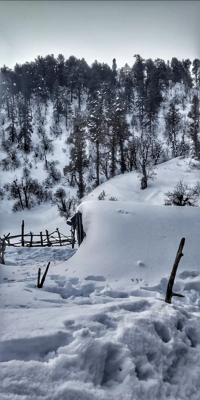 Photo of Uttarakhand By Sidharth Jain