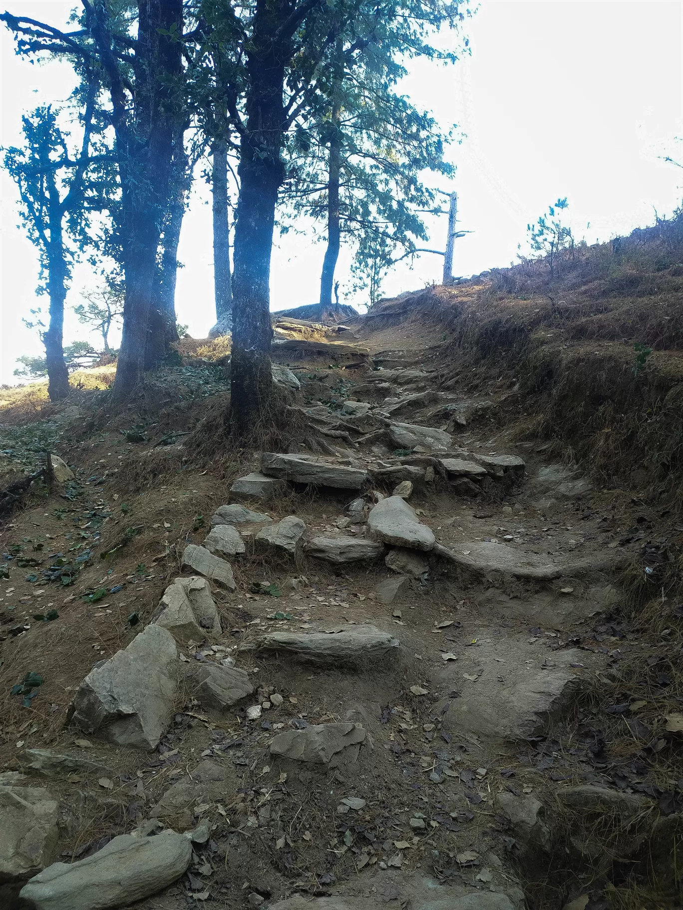 Photo of Kedarkantha Trek By Sidharth Jain