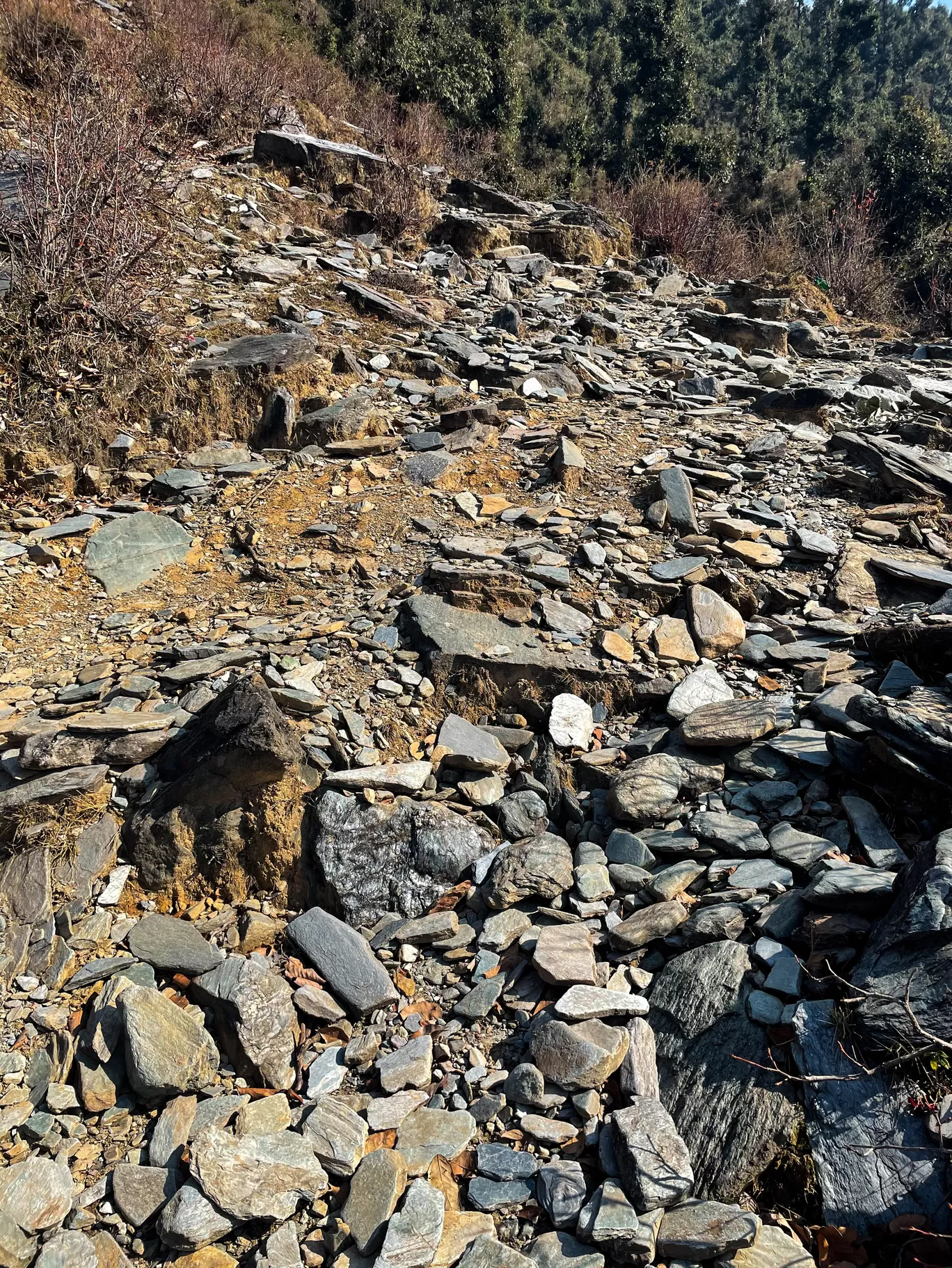 Photo of Thatharana Trek By Sidharth Jain